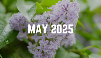 May 2025