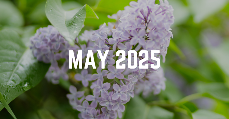May 2025