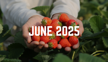 June 2025