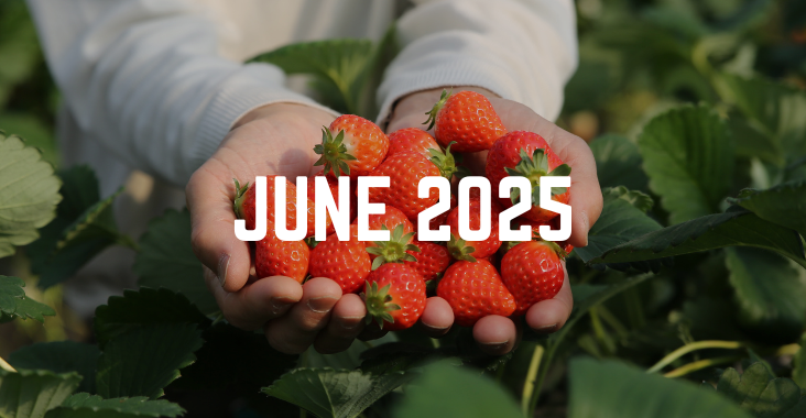 June 2025