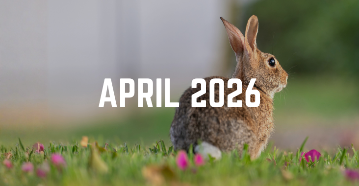 April 2026