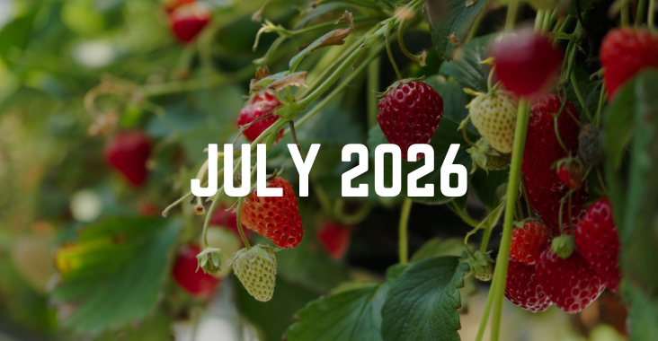 July 2026